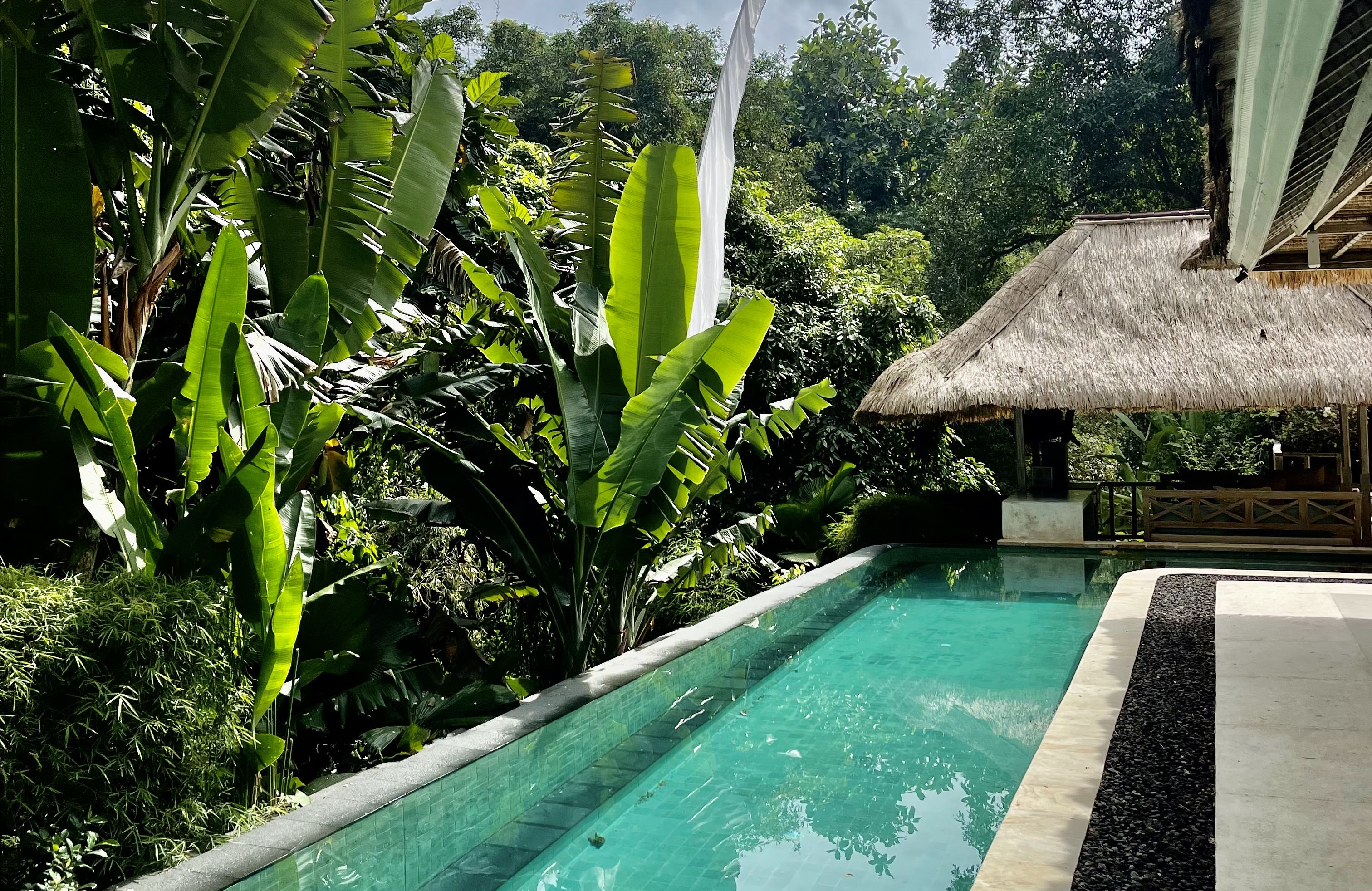 Bali Named Number 2 Most Popular Tourist Destination by Trip Advisor: A Golden Opportunity for Investors to Support Sustainable Tourism
